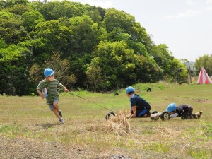 IMG_6689