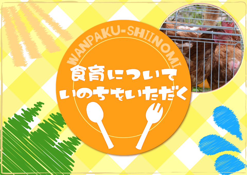食育について